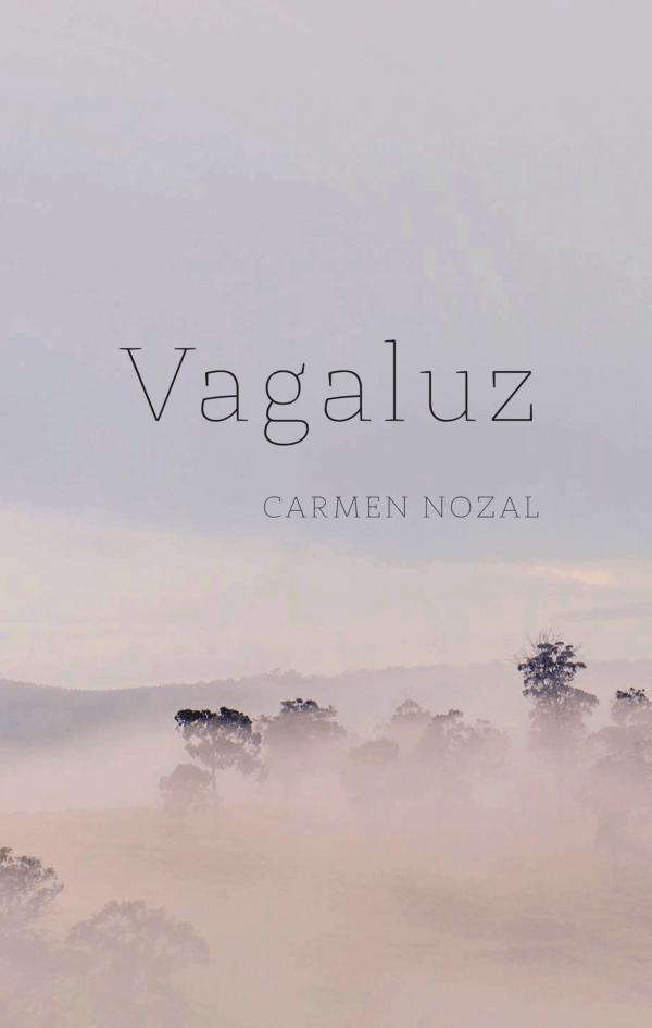Vagaluz
